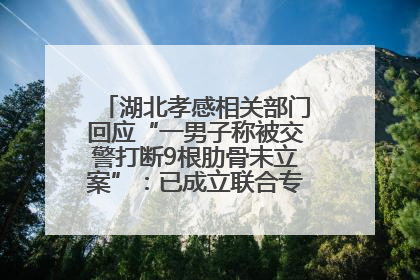 湖北孝感相关部门回应“一男子称被交警打断9根肋骨未立案”：已成立联合专班开展工作