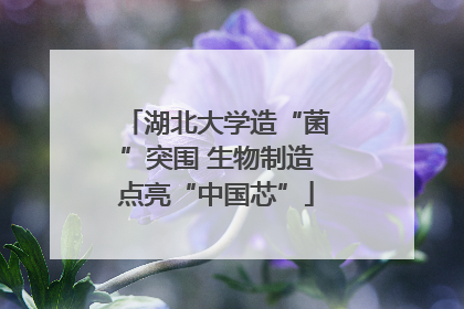 湖北大学造“菌”突围 生物制造点亮“中国芯”