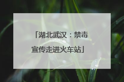 湖北武汉：禁毒宣传走进火车站