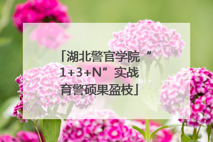湖北警官学院“1+3+N”实战育警硕果盈枝