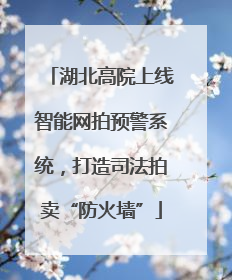 湖北高院上线智能网拍预警系统，打造司法拍卖“防火墙”