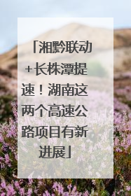 湘黔联动+长株潭提速！湖南这两个高速公路项目有新进展