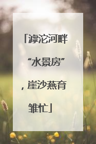 滹沱河畔“水景房”，崖沙燕育雏忙