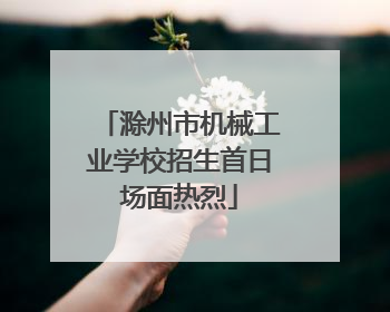 滁州市机械工业学校招生首日场面热烈