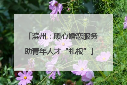 滨州：暖心婚恋服务助青年人才“扎根”