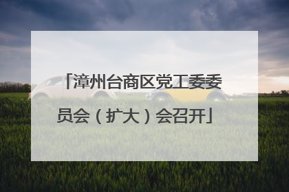 漳州台商区党工委委员会（扩大）会召开