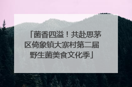 菌香四溢！共赴思茅区倚象镇大寨村第二届野生菌美食文化季