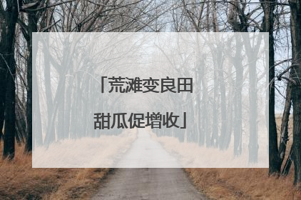 荒滩变良田 甜瓜促增收