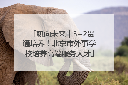 职向未来｜3+2贯通培养！北京市外事学校培养高端服务人才