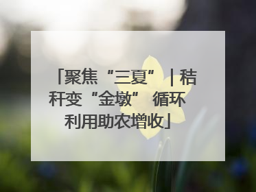 聚焦“三夏”｜秸秆变“金墩” 循环利用助农增收