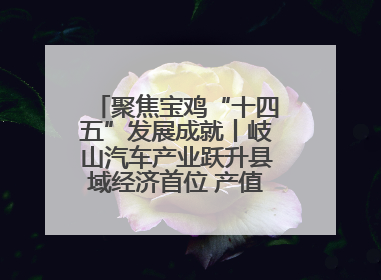聚焦宝鸡“十四五”发展成就丨岐山汽车产业跃升县域经济首位 产值突破205亿 占规上工业75%