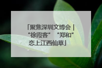 聚焦深圳文博会｜“徐霞客”“郑和”恋上江西仙草