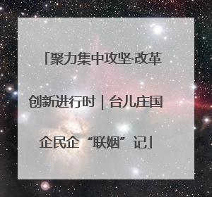 聚力集中攻坚·改革创新进行时｜台儿庄国企民企“联姻”记