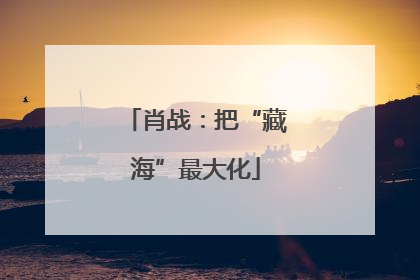 肖战：把“藏海”最大化