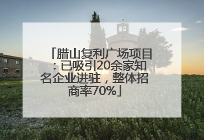 腊山复利广场项目：已吸引20余家知名企业进驻，整体招商率70%