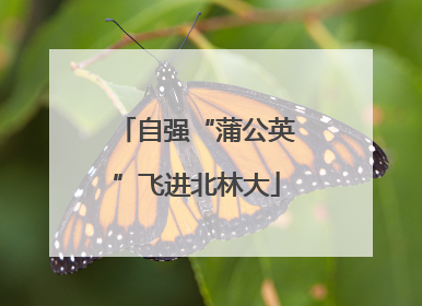 自强“蒲公英”飞进北林大
