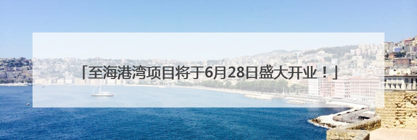 至海港湾项目将于6月28日盛大开业！