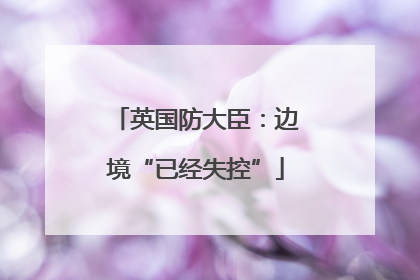 英国防大臣：边境“已经失控”