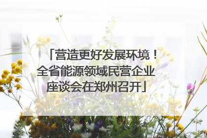 营造更好发展环境！全省能源领域民营企业座谈会在郑州召开