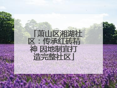 萧山区湘湖社区：传承红砖精神 因地制宜打造完整社区