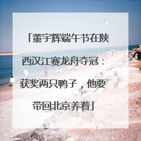董宇辉端午节在陕西汉江赛龙舟夺冠：获奖两只鸭子，他要带回北京养着