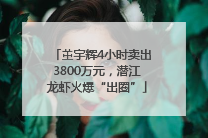 董宇辉4小时卖出3800万元，潜江龙虾火爆“出圈”