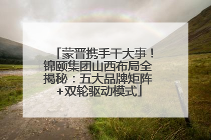 蒙晋携手干大事！锦颐集团山西布局全揭秘：五大品牌矩阵+双轮驱动模式