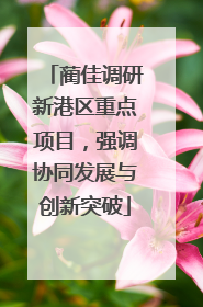 蔺佳调研新港区重点项目，强调协同发展与创新突破