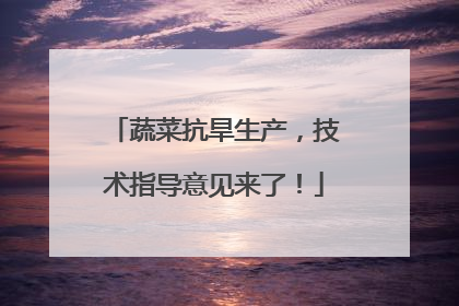 蔬菜抗旱生产，技术指导意见来了！