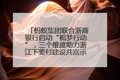 蚂蚁集团联合浙商银行启动“栀梦行动”，三个维度助力浙江下姜村建设共富示范区示范点