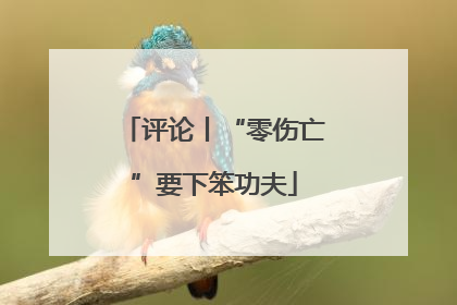 评论丨“零伤亡”要下笨功夫