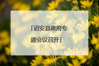 诏安县政府专题会议召开