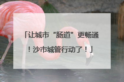 让城市“肠道”更畅通！沙市城管行动了！
