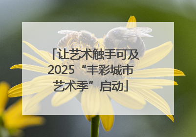 让艺术触手可及 2025“丰彩城市艺术季”启动