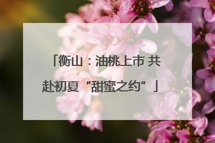 衡山：油桃上市 共赴初夏“甜蜜之约”