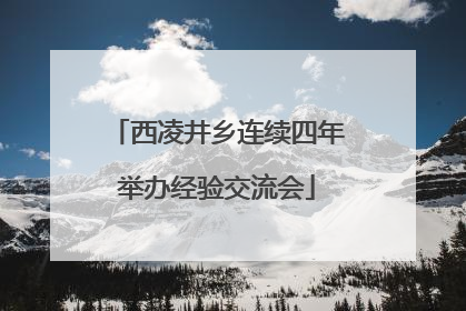 西凌井乡连续四年举办经验交流会