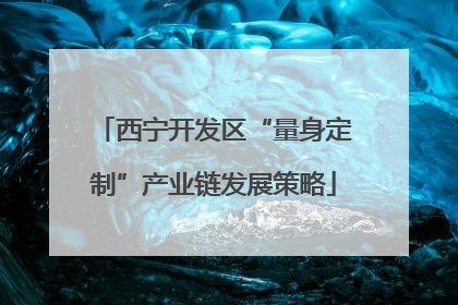 西宁开发区“量身定制”产业链发展策略
