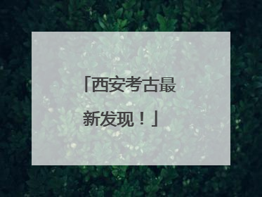 西安考古最新发现！