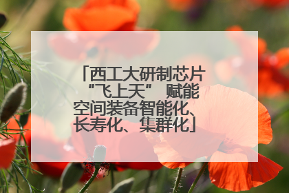 西工大研制芯片“飞上天” 赋能空间装备智能化、长寿化、集群化