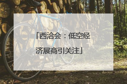 西洽会：低空经济展商引关注