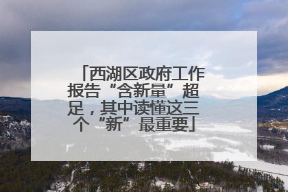 西湖区政府工作报告“含新量”超足，其中读懂这三个“新”最重要