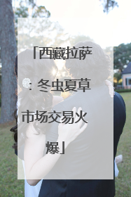 西藏拉萨：冬虫夏草市场交易火爆