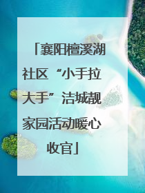 襄阳檀溪湖社区“小手拉大手”洁城靓家园活动暖心收官