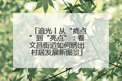追光丨从“痛点”到“亮点”：看文昌街道如何绣出村居发展新图景