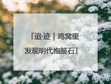 追·迹｜鸡窝里发现明代抱鼓石