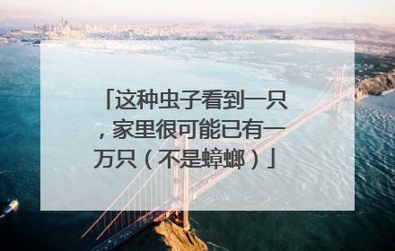 这种虫子看到一只，家里很可能已有一万只（不是蟑螂）