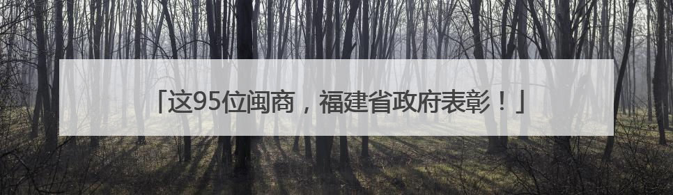 这95位闽商，福建省政府表彰！