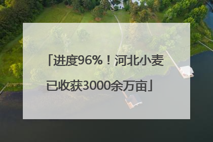 进度96%！河北小麦已收获3000余万亩