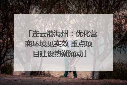 连云港海州：优化营商环境见实效 重点项目建设热潮涌动