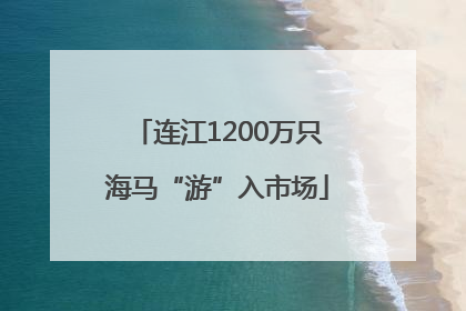 连江1200万只海马“游”入市场